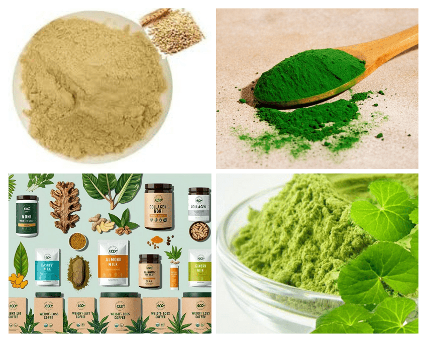 Dịch vụ chiết xuất dược liệu sấy cao thành bột