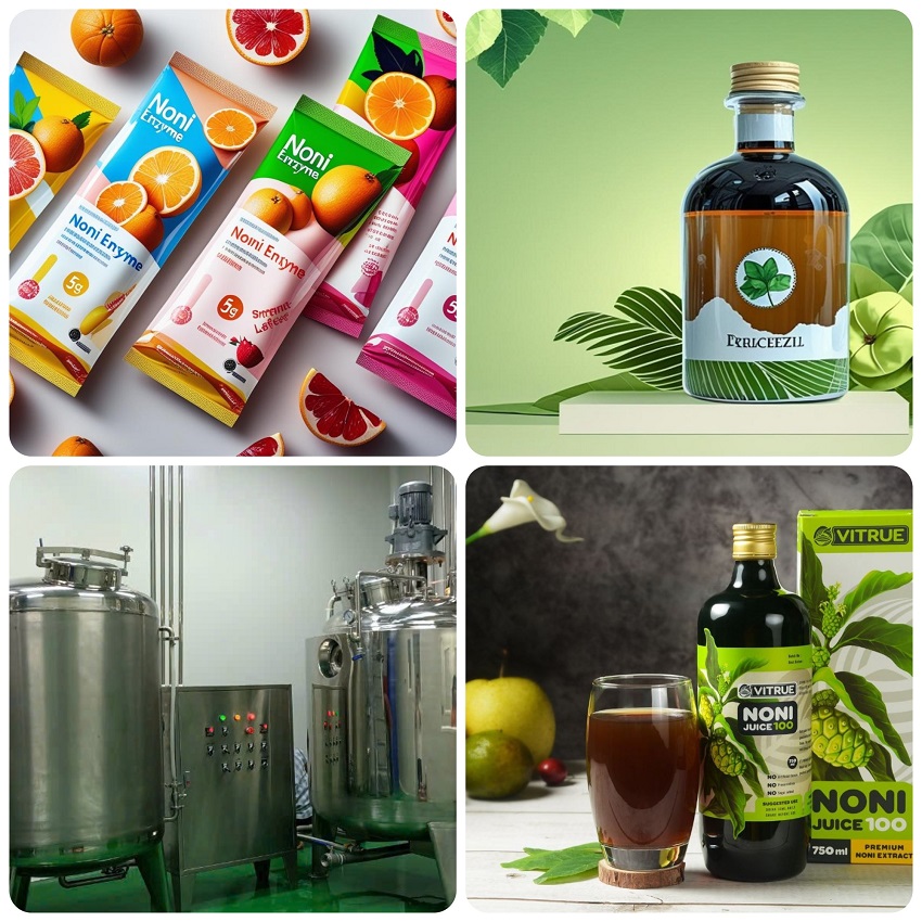 Gia công nước trái nhàu Enzyme